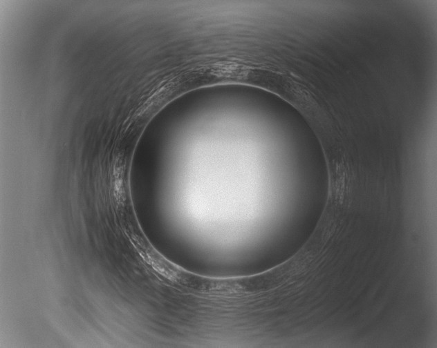 X0000086041154200703231233