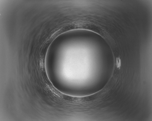X0000086041155200703231233