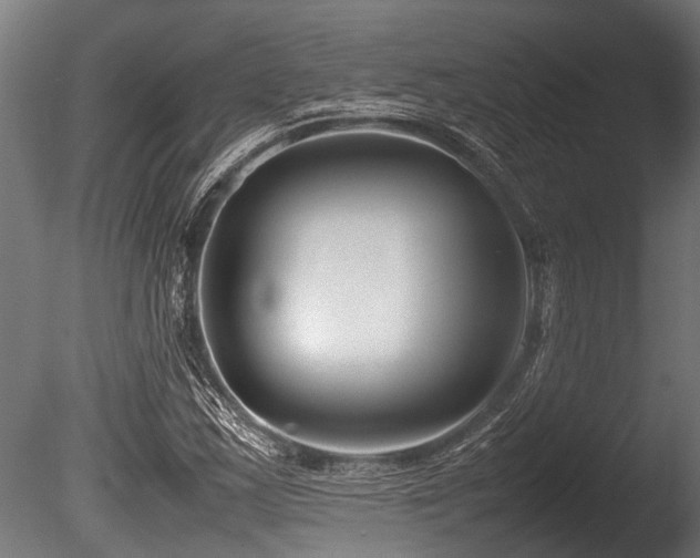 X0000086041163200703231233