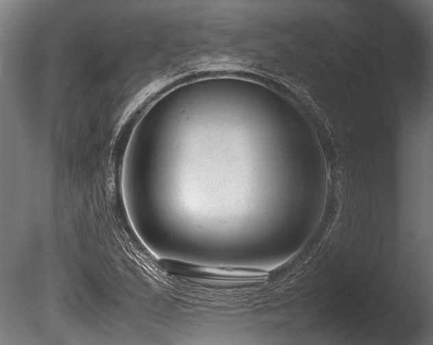X0000086041167200703231233