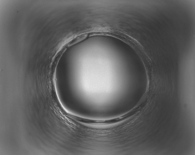 X0000086041168200703231233