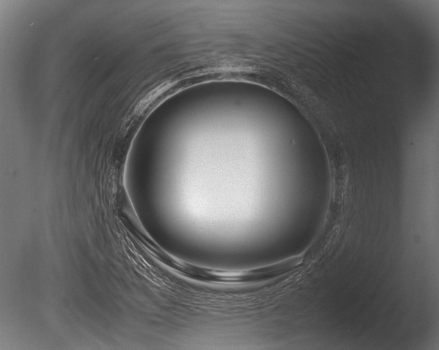 X0000086041169200703231232