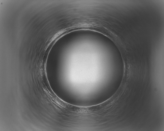X0000086041170200703231232