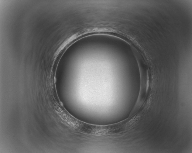 X0000086041173200703231232