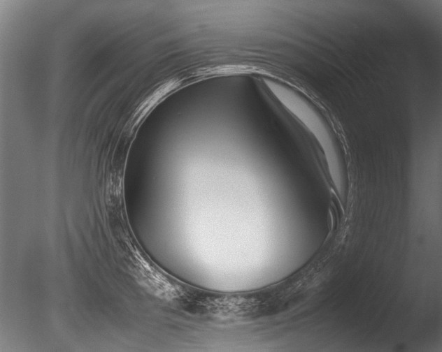 X0000086041193200703231232