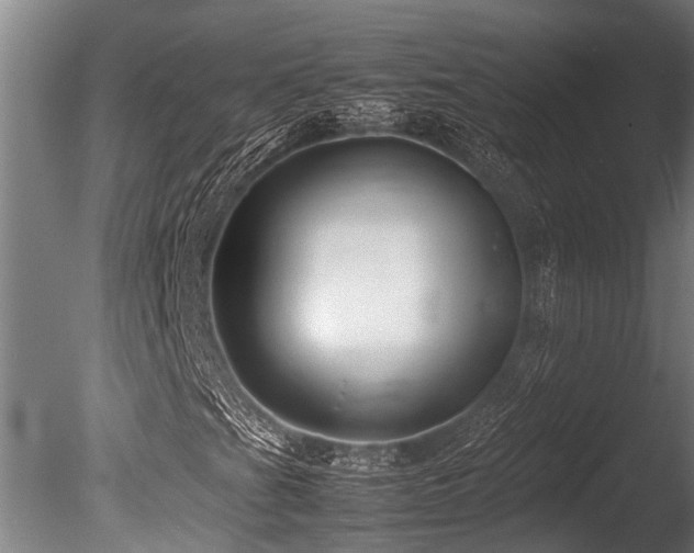X0000086041201200703231231