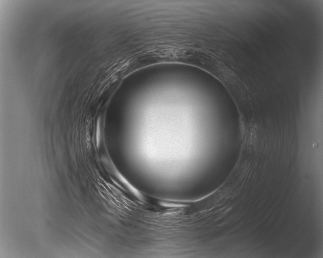 X0000086041202200703231231