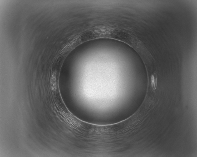 X0000086041203200703231231