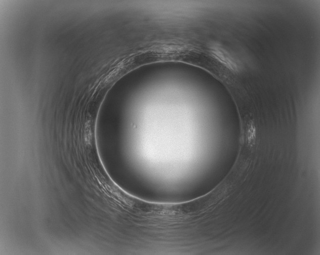 X0000086041204200703231231