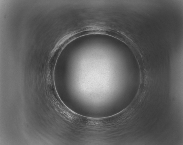 X0000086041215200703231231