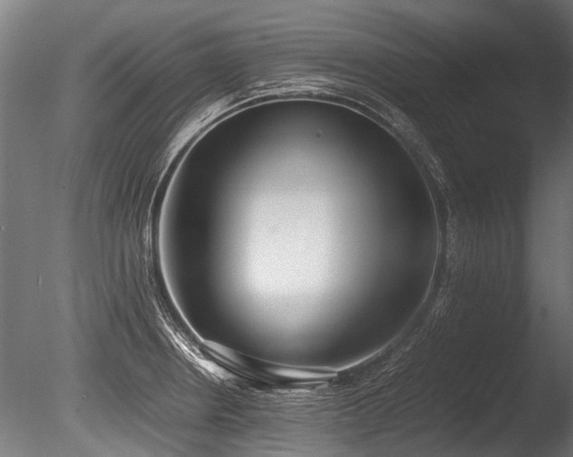 X0000086041234200703231232