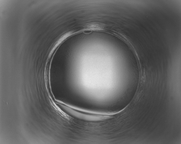 X0000086041243200703231232
