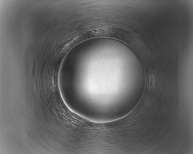 X0000086041250200703231231