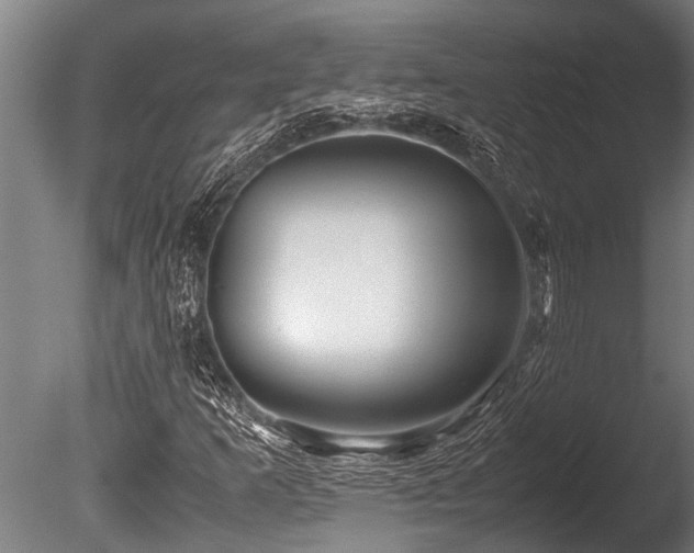 X0000086041253200703231231