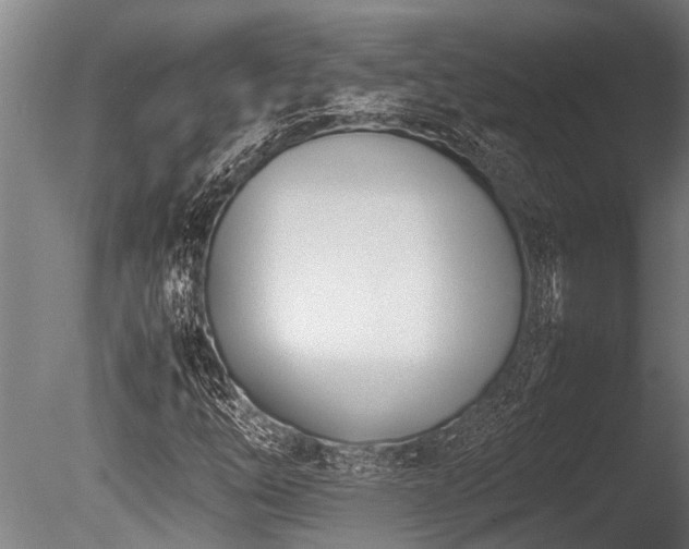 X0000086041254200703231231