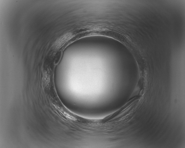 X0000086041257200703231231
