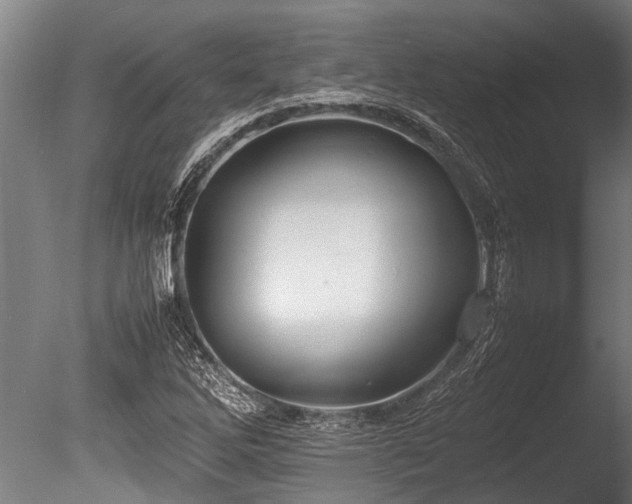 X0000086041262200703231231