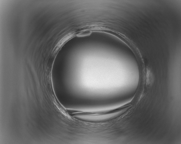 X0000086041289200703231230