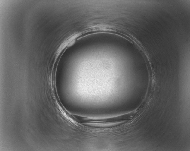 X0000086041293200703231230
