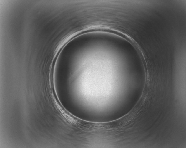 X0000086041295200703231230