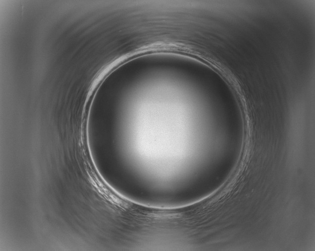X0000086041296200703231230