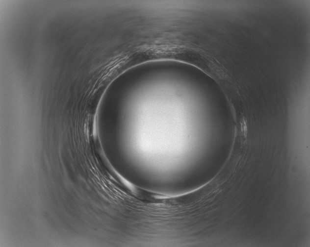 X0000086041300200703231230