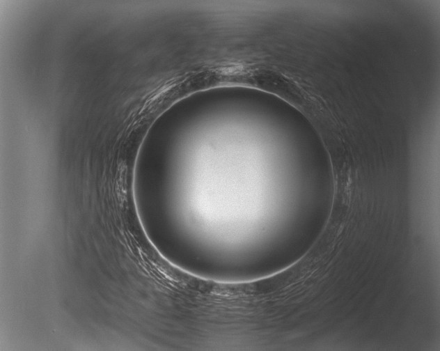 X0000086041301200703231230