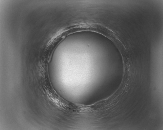 X0000086041304200703231230
