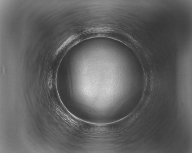 X0000086041306200703231230