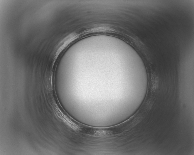X0000086041322200703231230