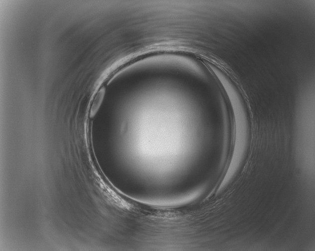 X0000086041334200703231230
