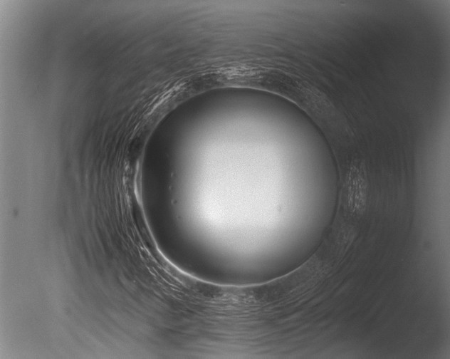X0000086041346200703231229
