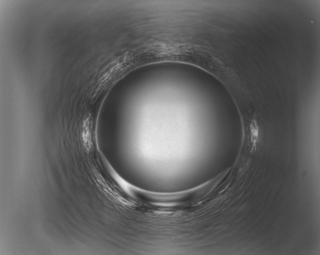 X0000086041348200703231229