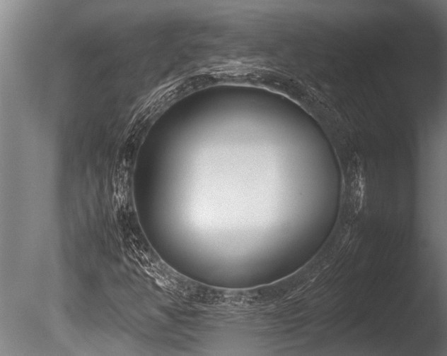 X0000086041350200703231229