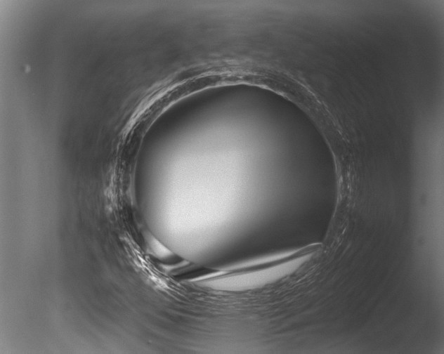 X0000086041352200703231229