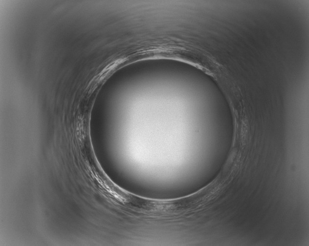 X0000086041353200703231229