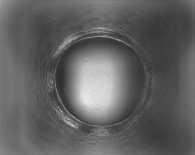 X0000086041355200703231229