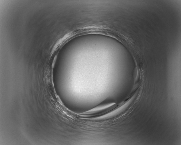 X0000086041357200703231229