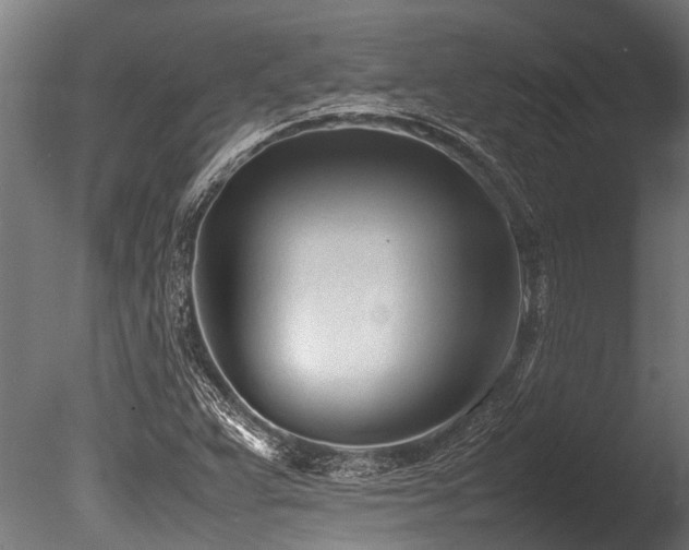 X0000086041359200703231229