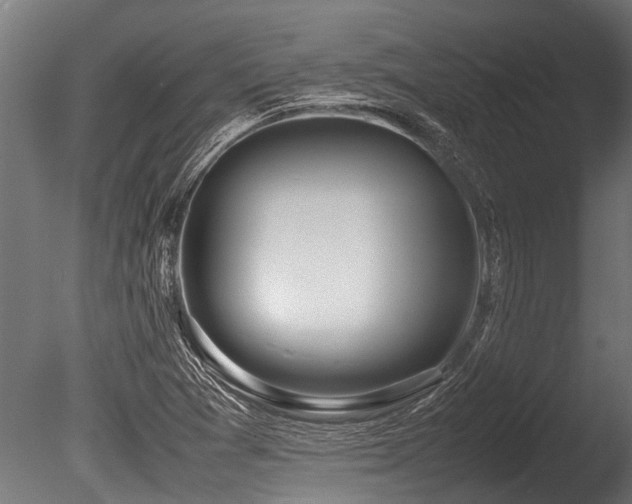 X0000086041361200703231229
