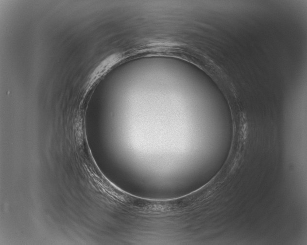 X0000086041362200703231229