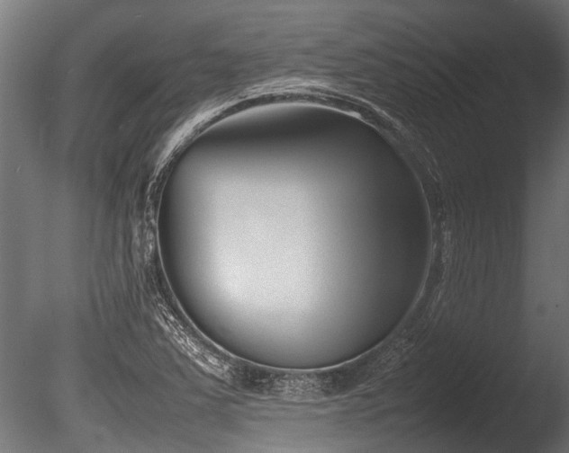 X0000086041363200703231229