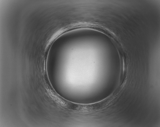 X0000086041365200703231229