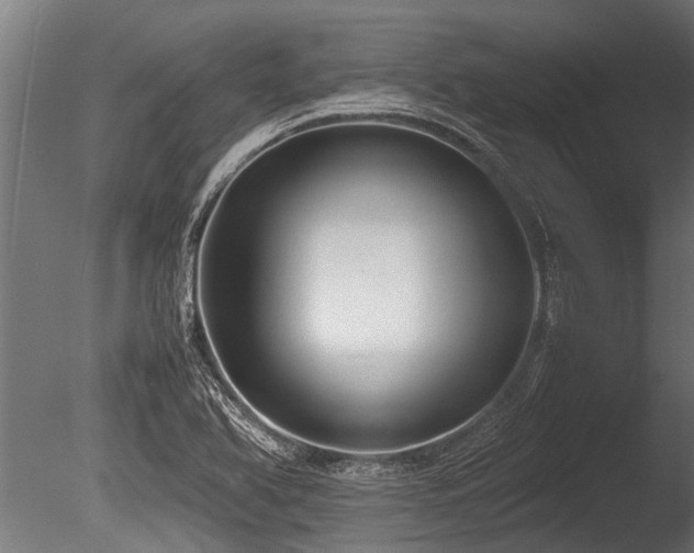 X0000086041366200703231229