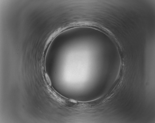 X0000086041373200703231229