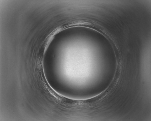 X0000086041377200703231229