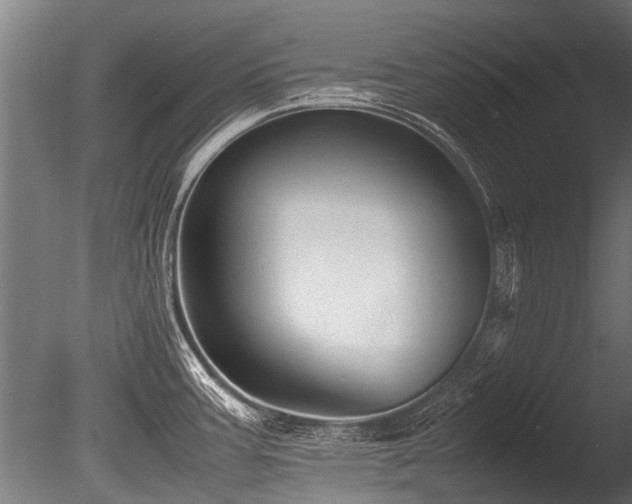 X0000086041387200703231229