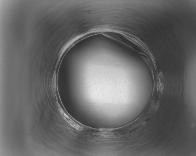 X0000086041388200703231229