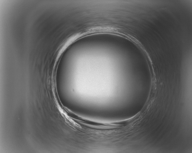 X0000086041389200703231229