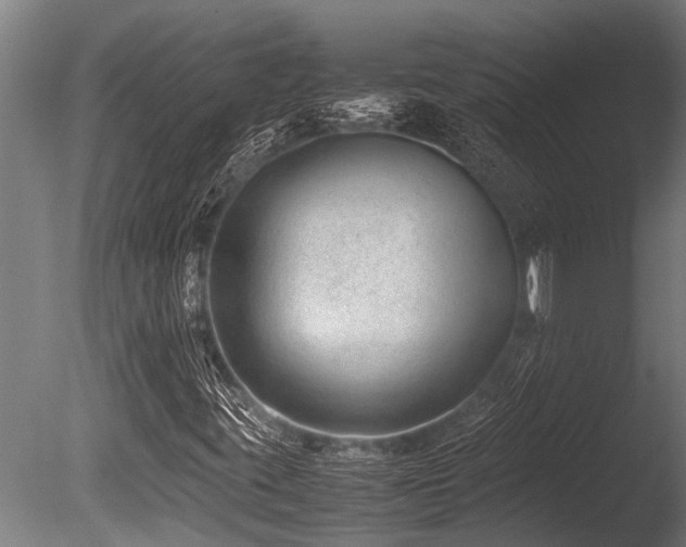 X0000086041395200703231228